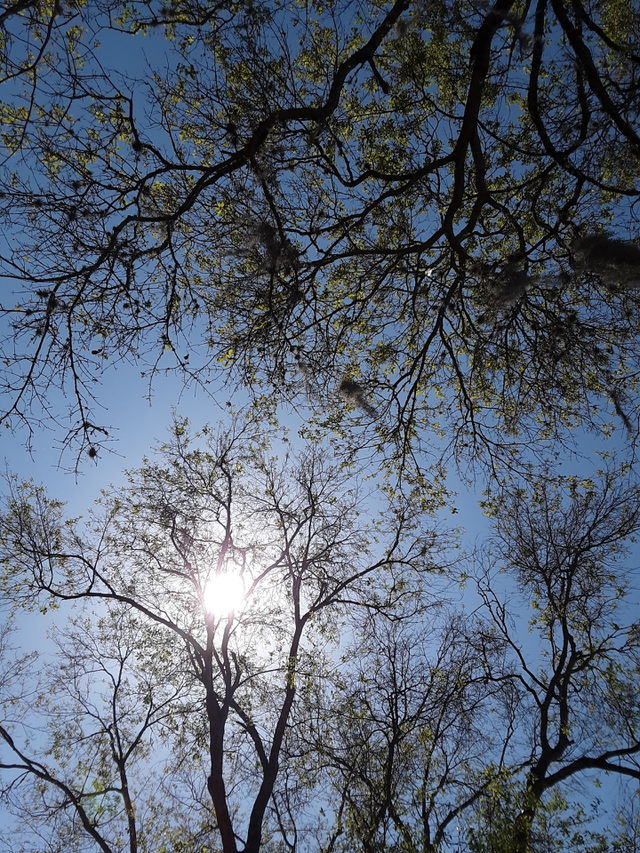 Scenic sky for your screensaver