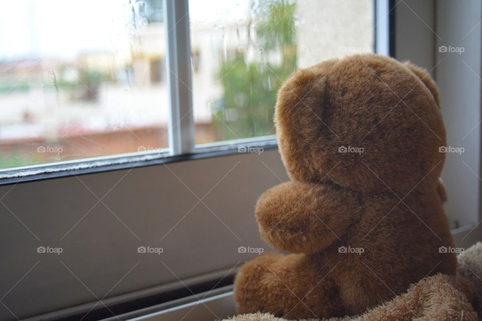 Brown teddy bear sitting beside the window while raining.