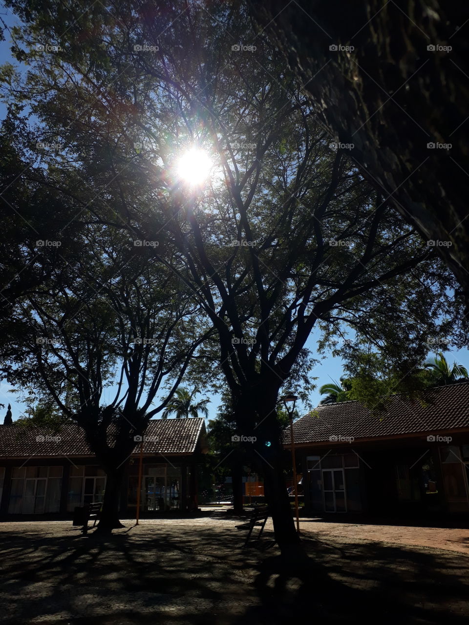 Praça Brasília, Cafelândia Paraná Brasil