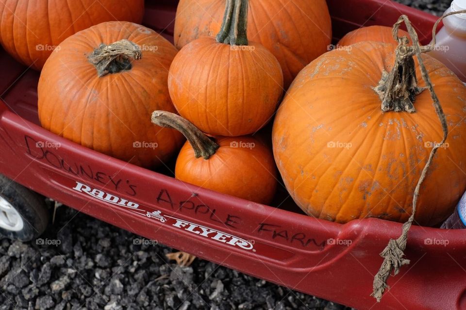 Pumpkin wagon
