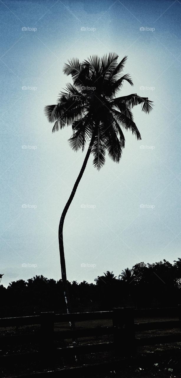 Beauty of my village