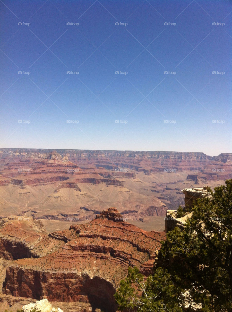 nature china park view by renemo