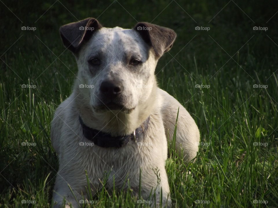 my friendly neighbour