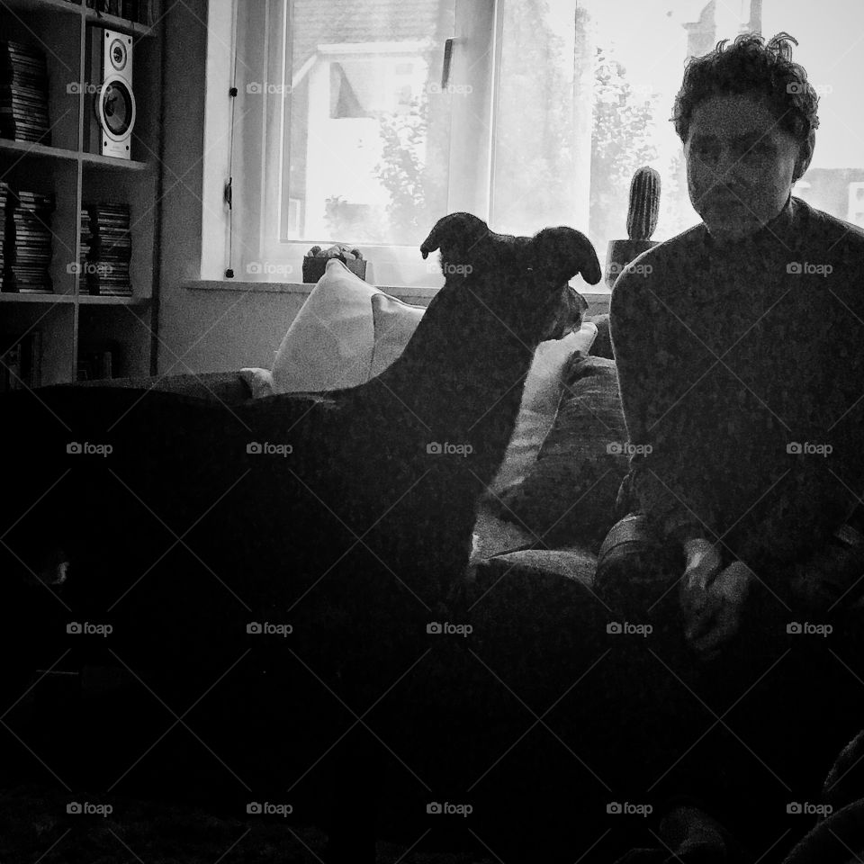 The bond between dog and human 