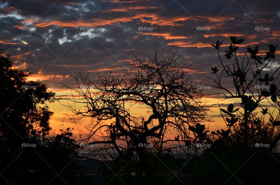 sunset PANTANAL MS BRAZIL