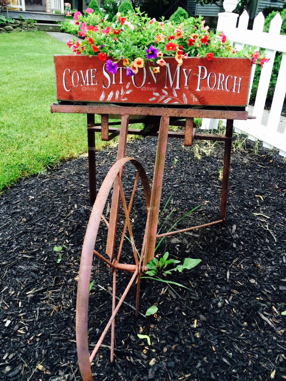 Flowers in the garden 