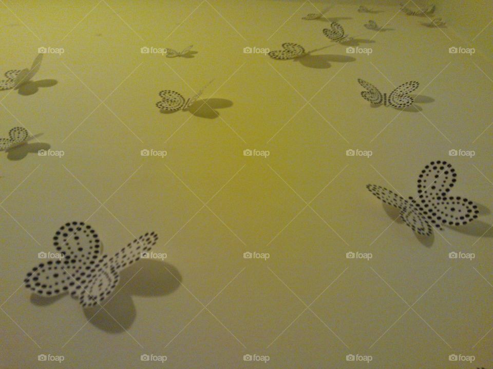 Butterflies on the wall. 