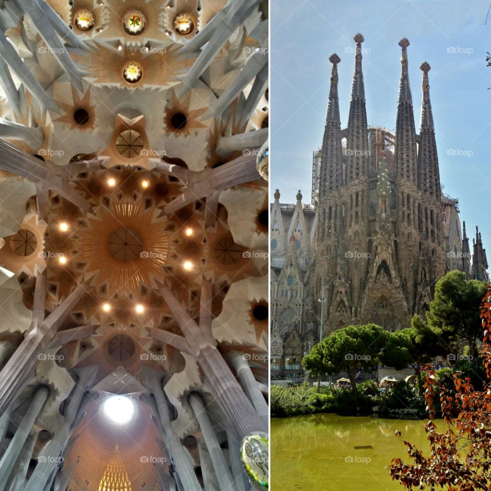 intricate design admiration at Sagrada Familia, Barcelona