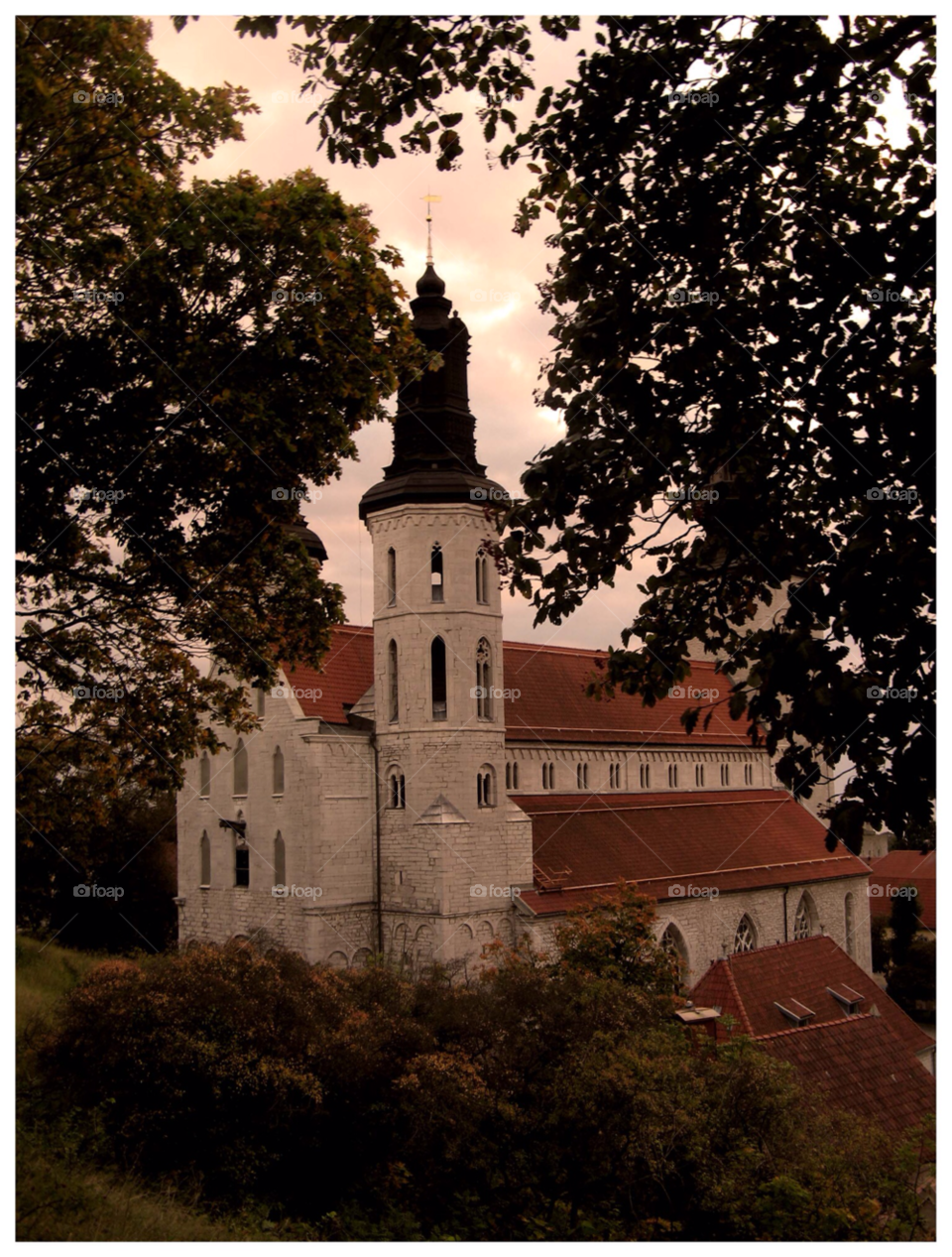 sweden trees church history by rauknrolla