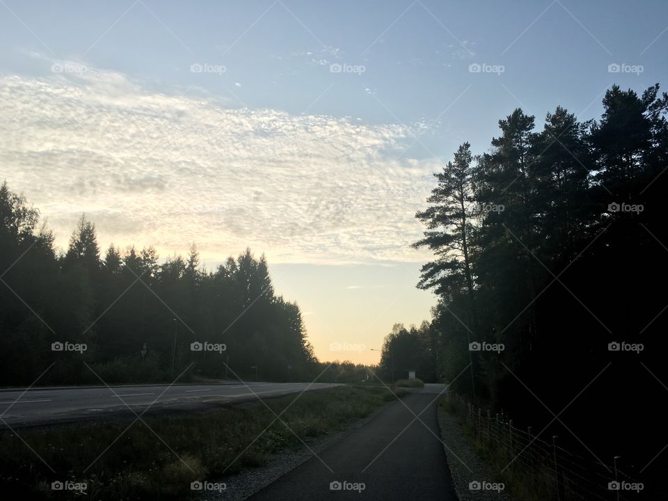 Nice clouds and trees during sunset