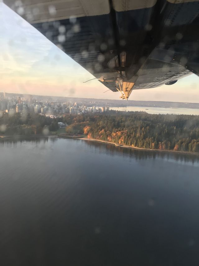 Under My Wing