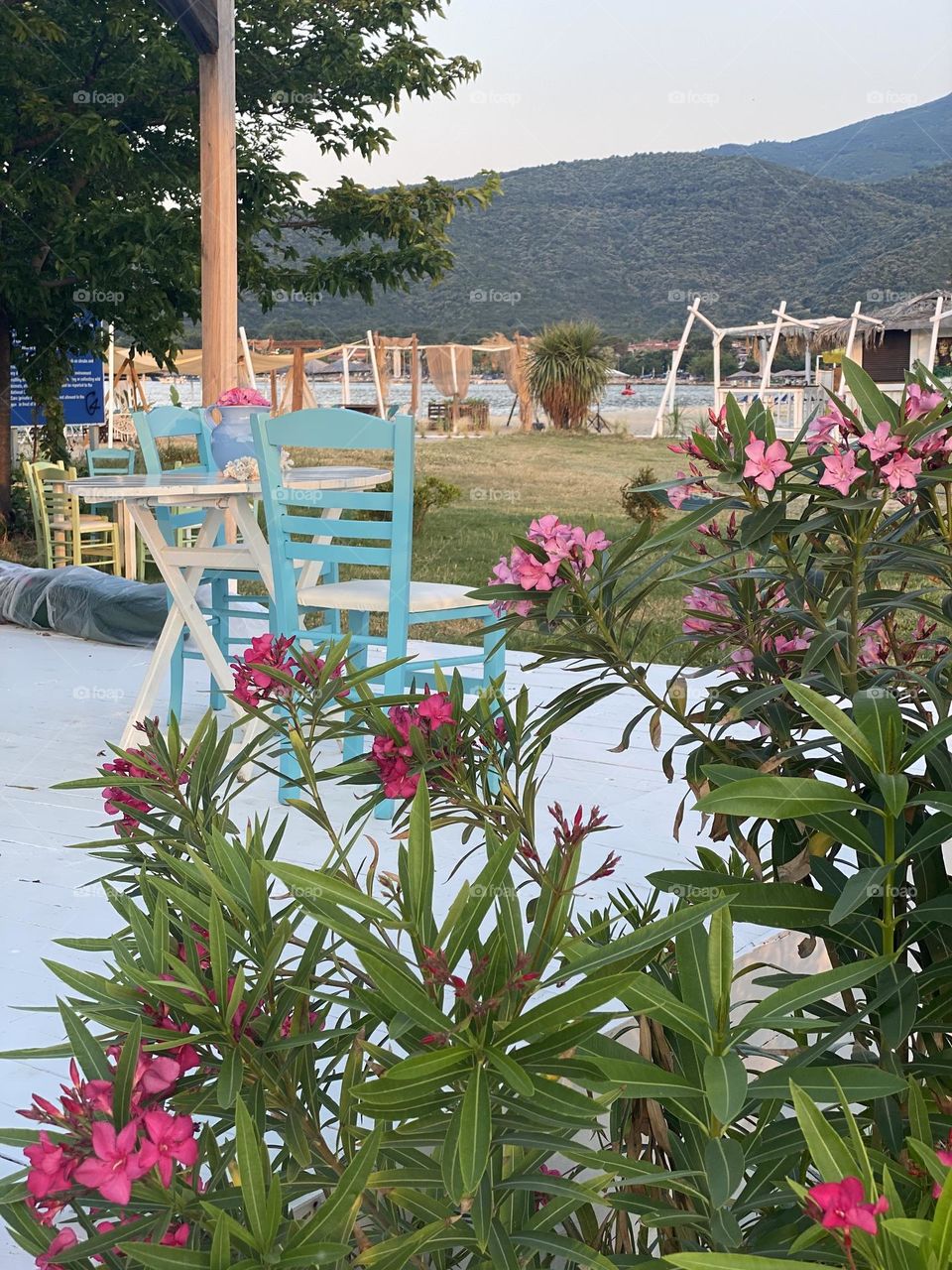 Romantic table among the flowers 