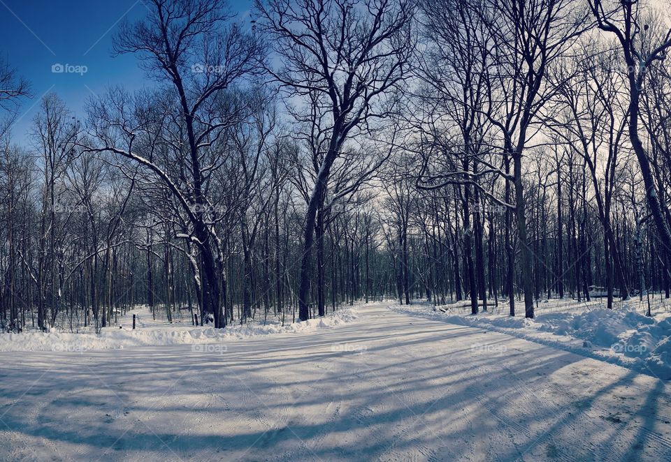 Subzero degrees in a park