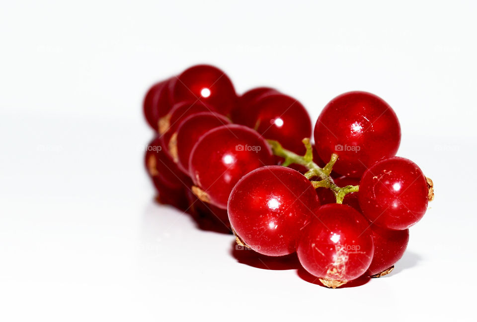 Red currant fruits on white background