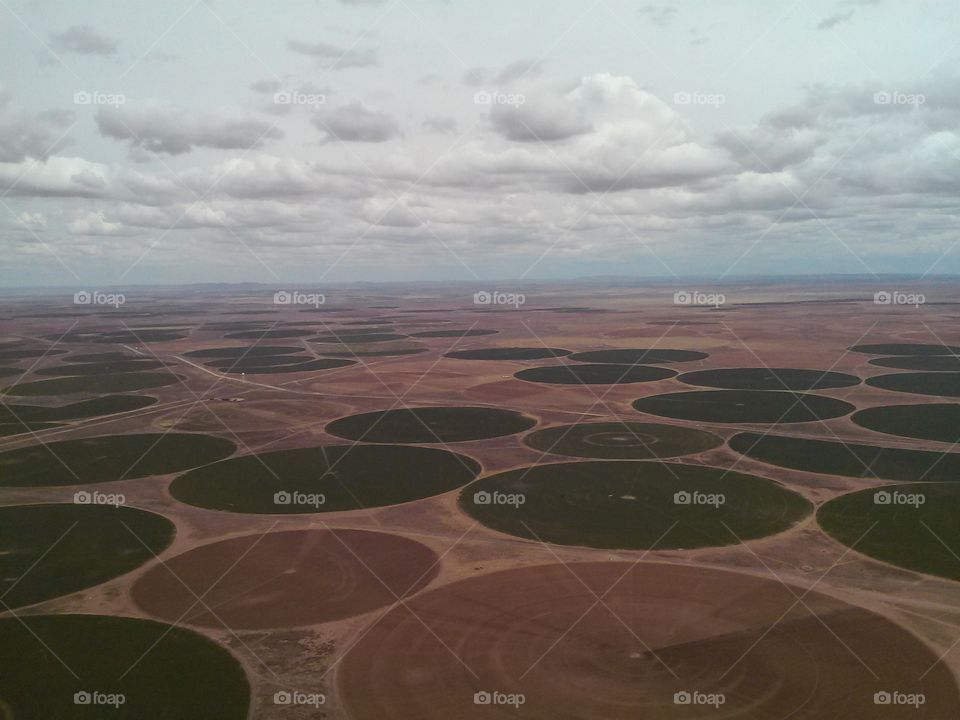 Crop circles. Pivot - irrigation fields in northern New Mexico, taken from am airplane