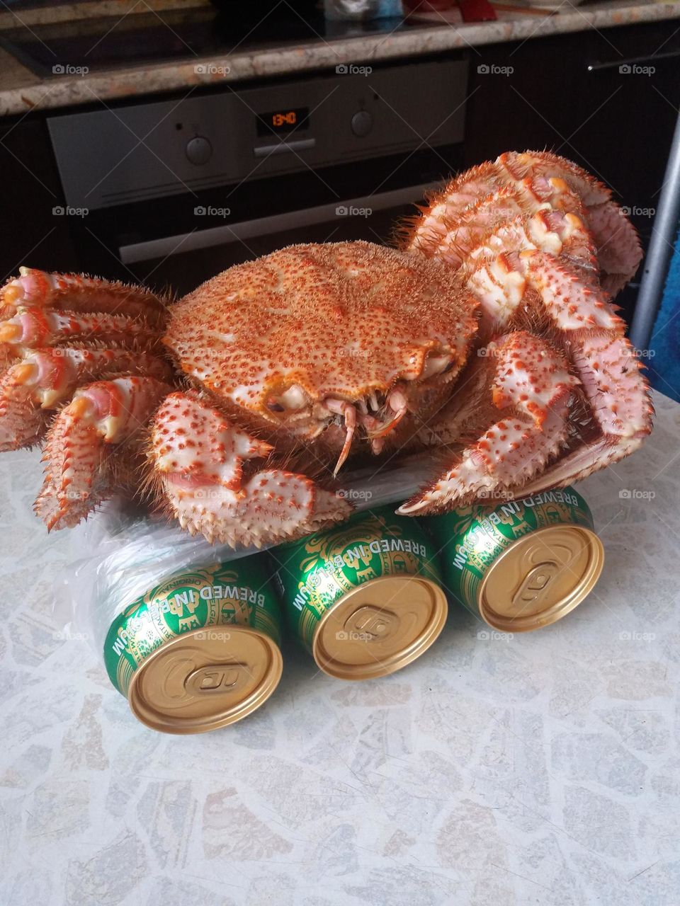 Beer and crab