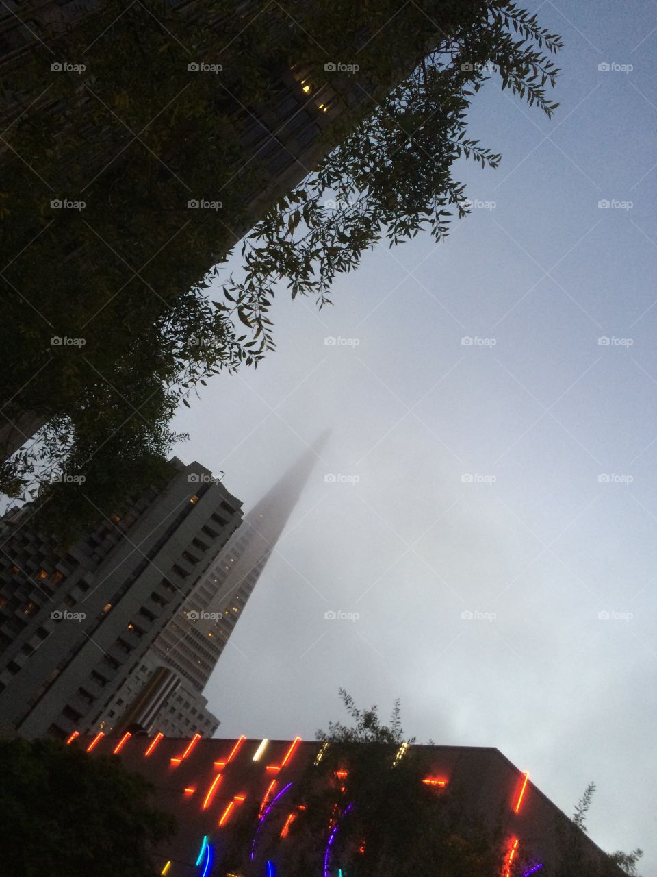 San Francisco, CA Transamerica Pyramid foggy sky