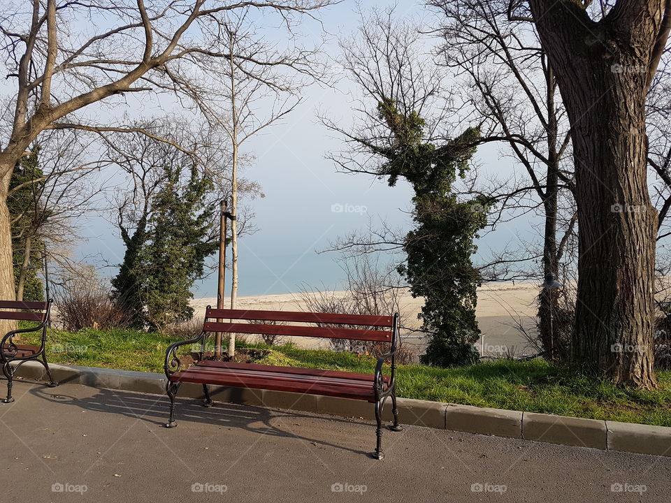 Bench on the beach