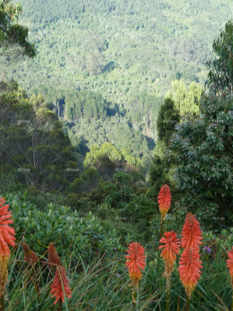 view of Bogota Columbia