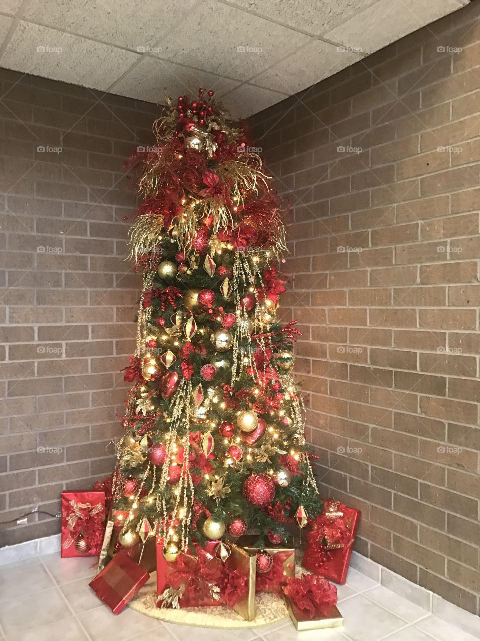 Tall Christmas  Tree 