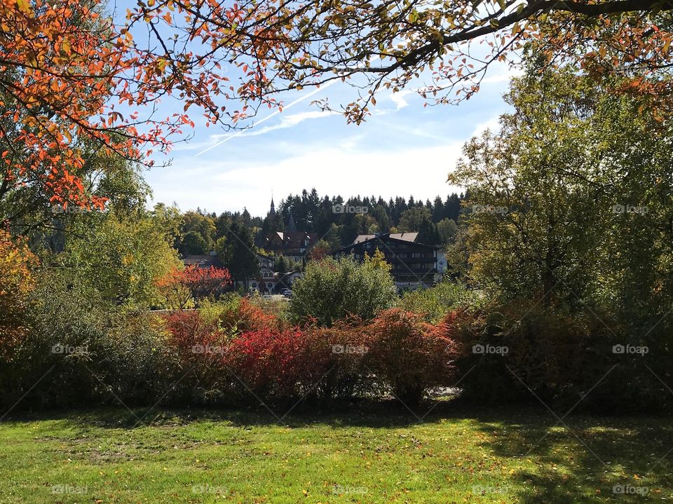 Autumn colours beautiful walk / Harz 