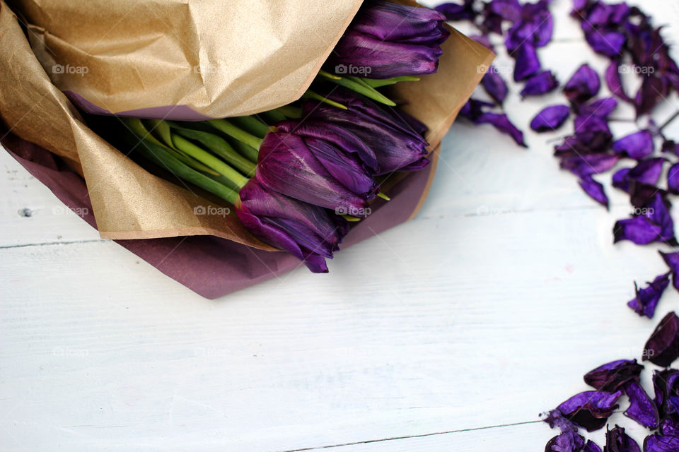 A bouquet of tulips and purple rose petals: congratulations, March 8 (International Women's Day), February 14th (Valentine's Day), holiday