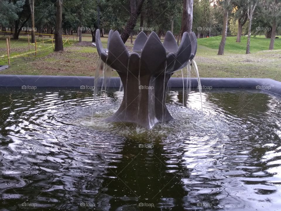 agarrando el agua de la vida.