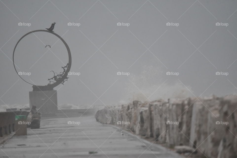 Stormy winter day and seagull monument