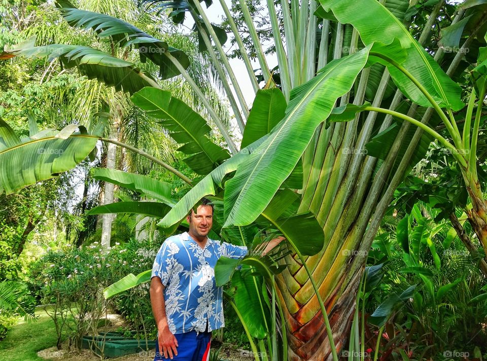 Tropical Vacation. American Tourist In The Jungle
