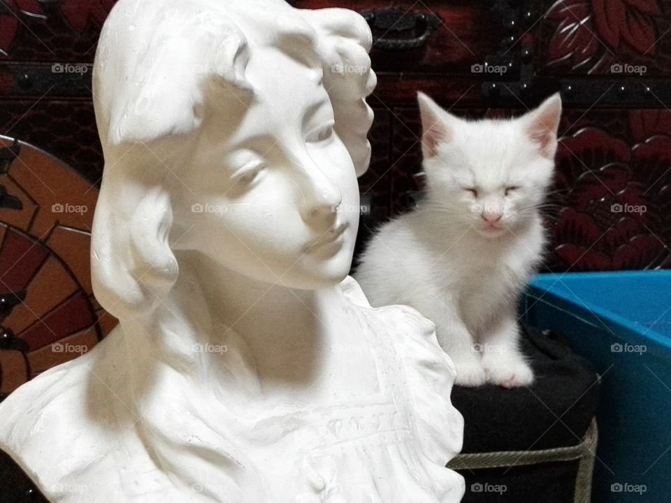 Kitten and plaster figure
