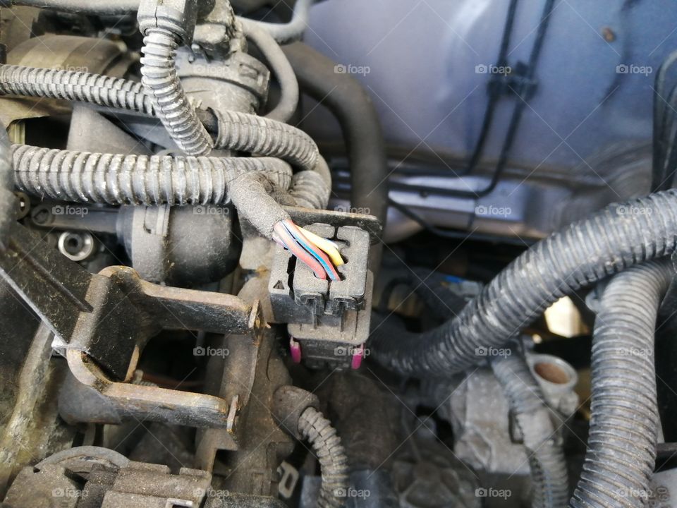 The intricate workings of my car