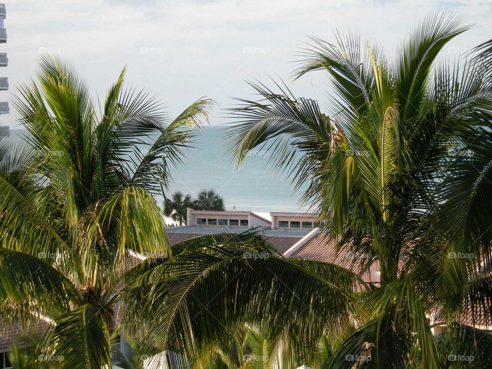 Balcony view