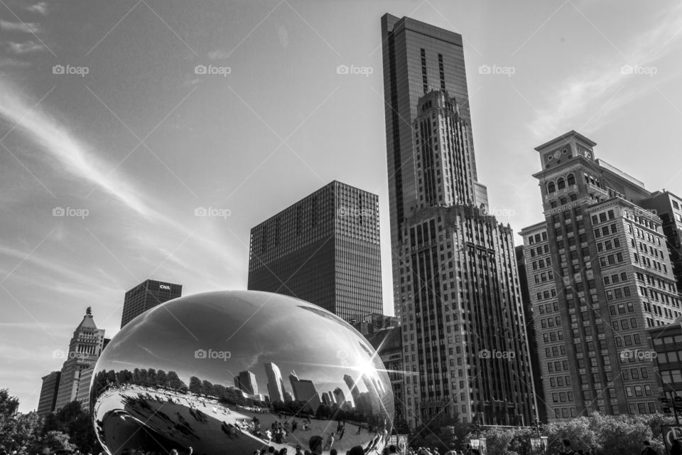 Chicago Cloud Gate in black and white
