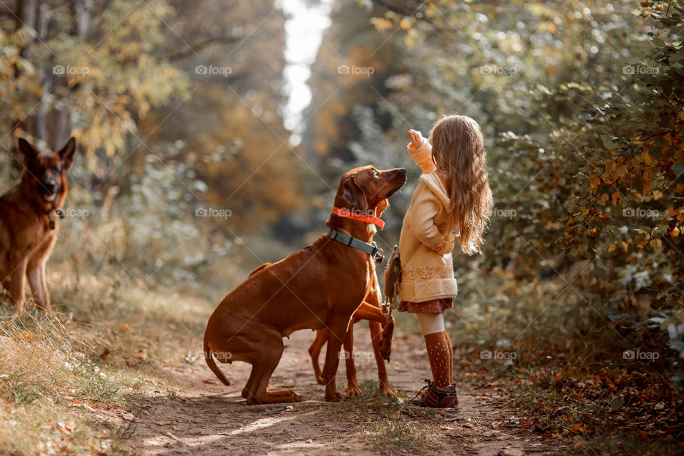 Little girl playing with dogs in an autumn park