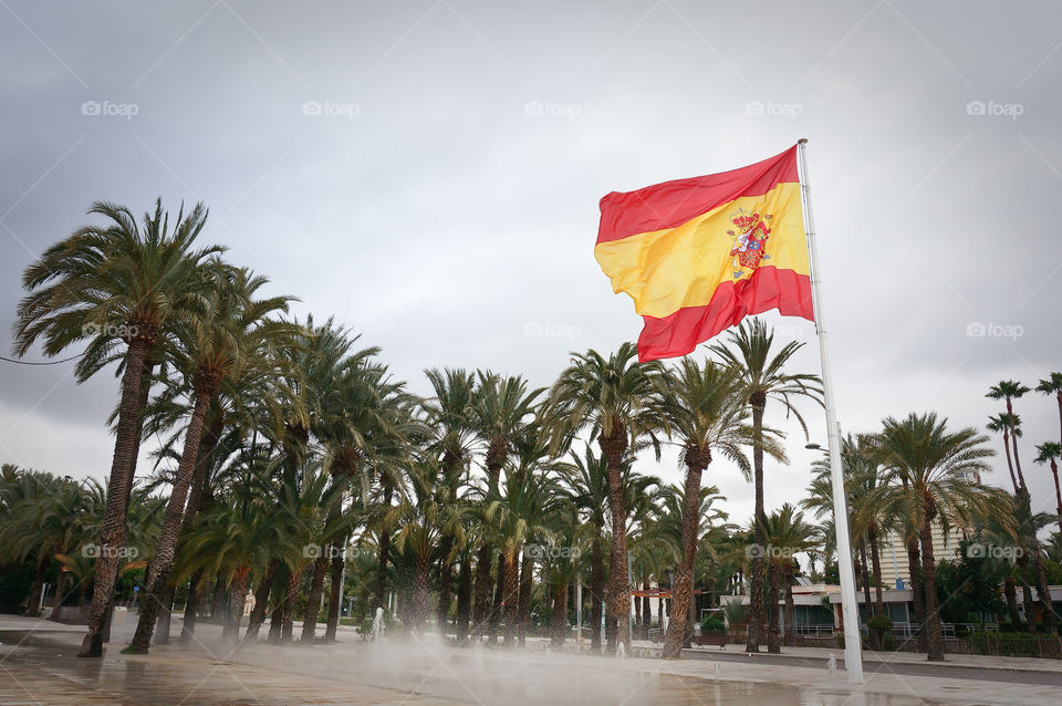 Spanish flag on the wind with palm trees 