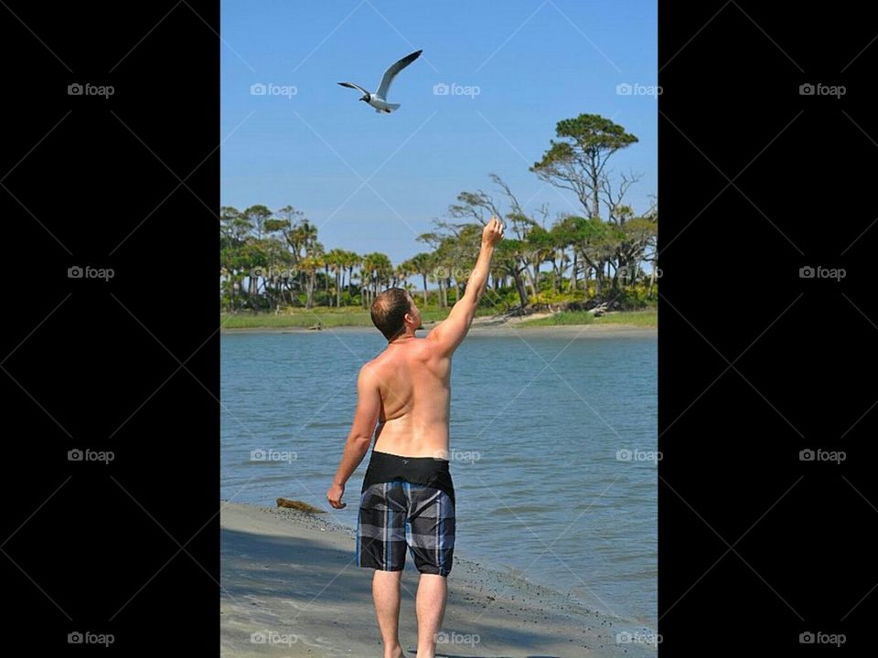 Man feeding the seagull