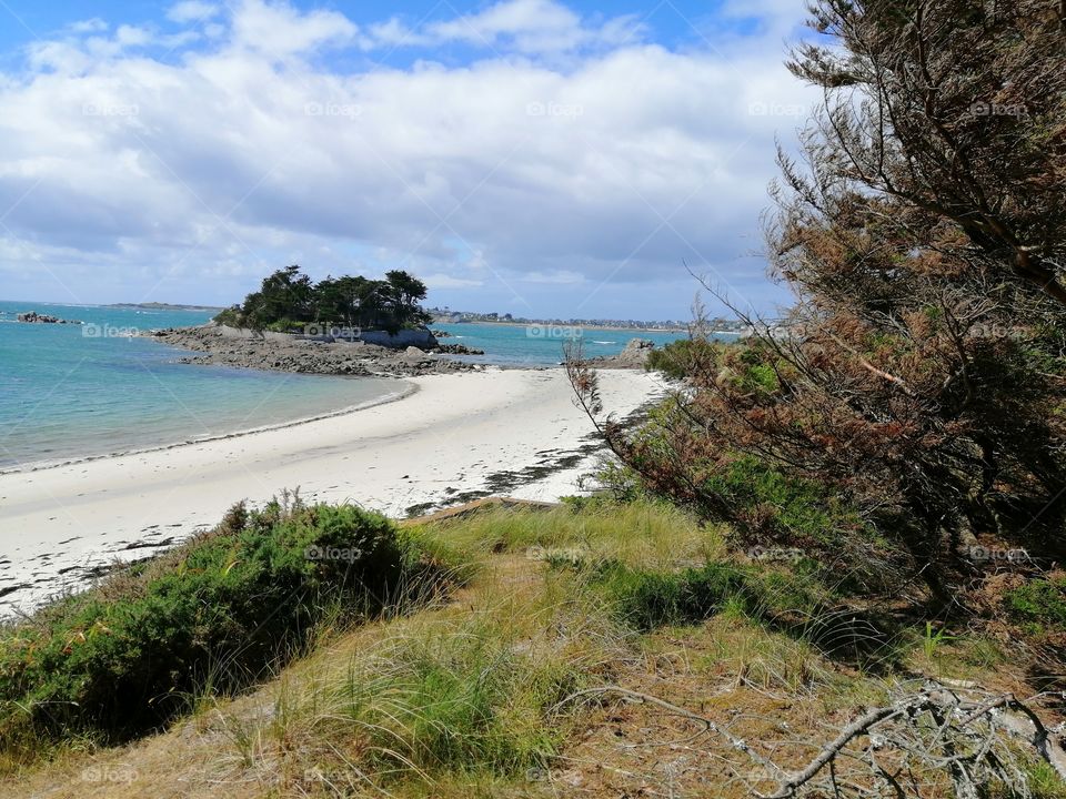 La côte bretonne, à Roscoff, un mois de juin