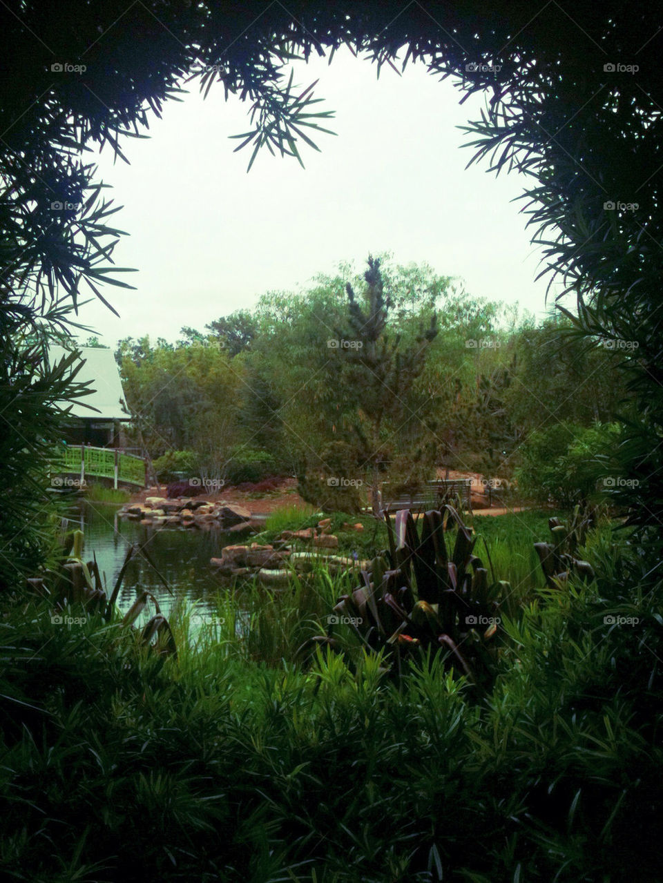 A peek through the greenery to the Asian Garden