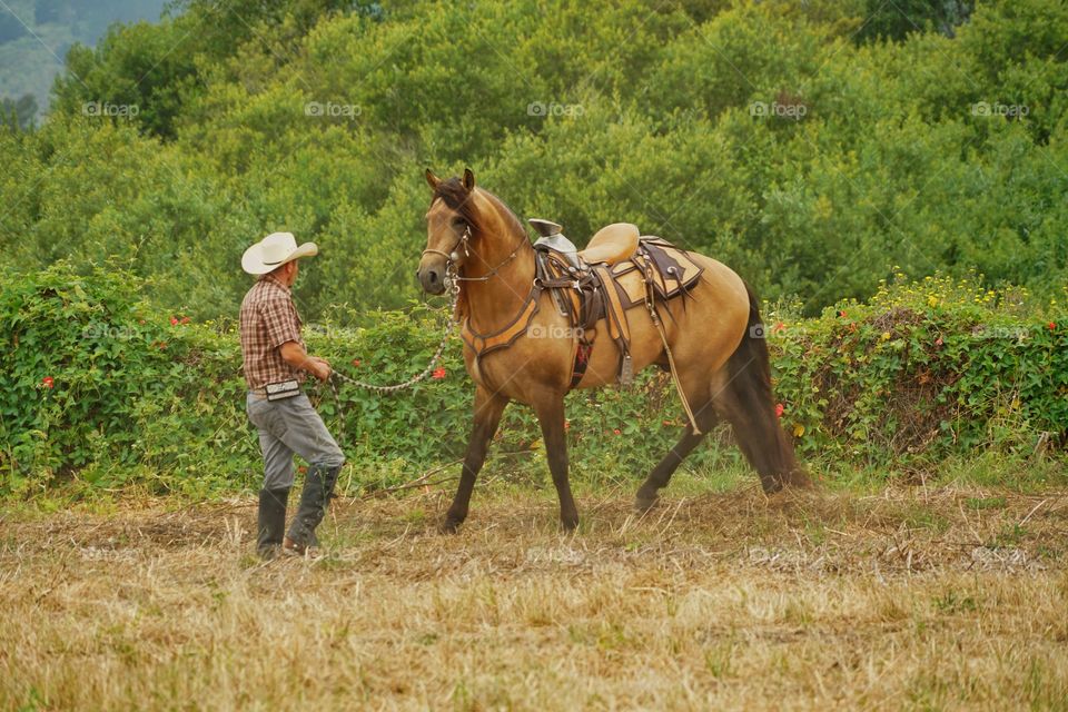 Cowboy With His Horse