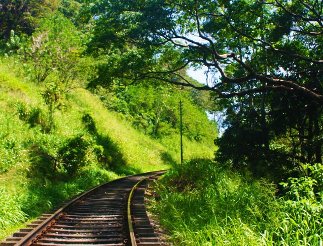 railway