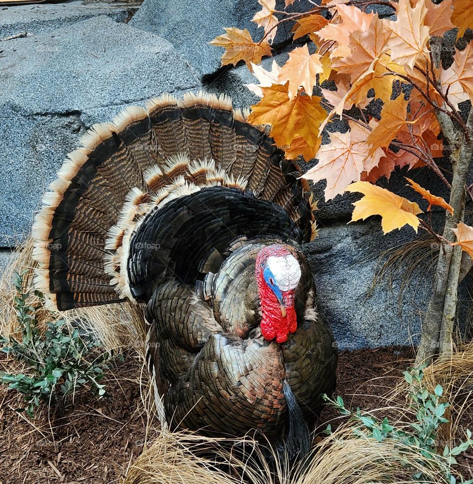 stuffed Merriam's turkey and leaves display in an Oregon outdoor sporting goods store