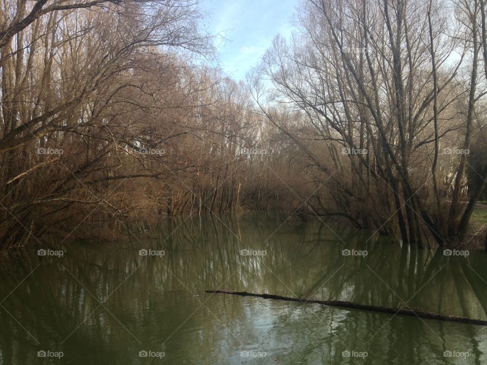 River. Hungary