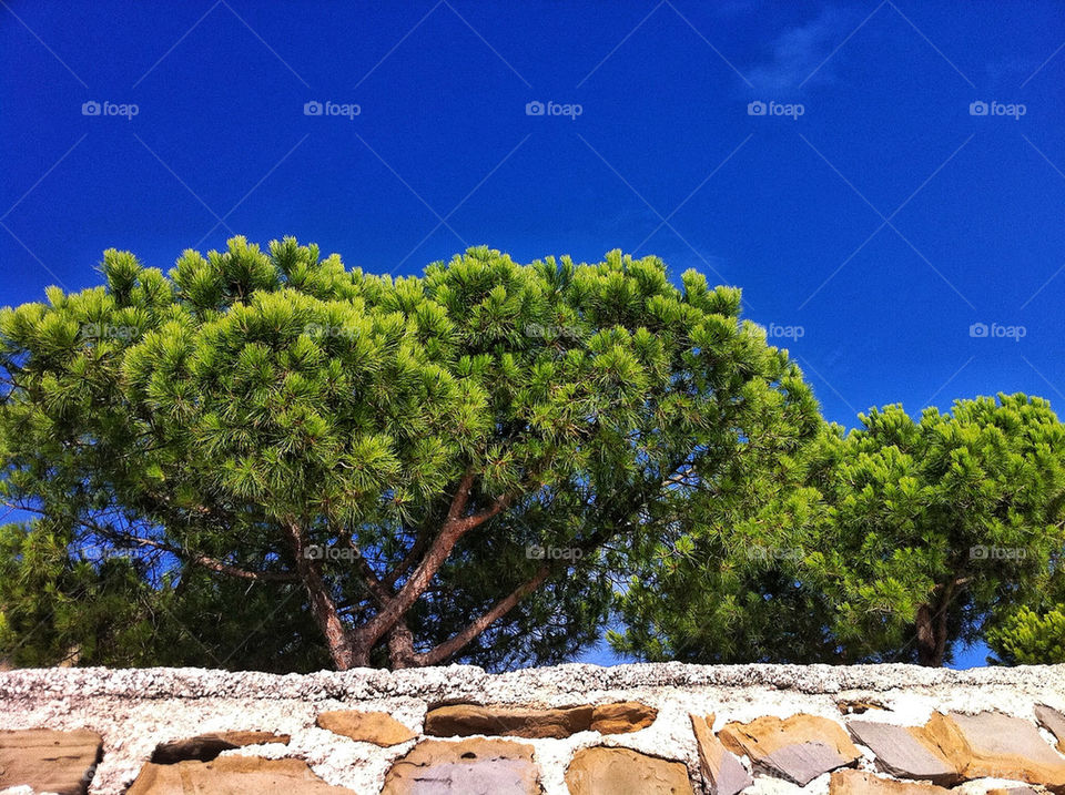 sky green background wall by munda.net