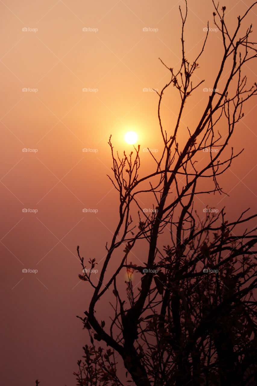 sunrise view from abc nepal