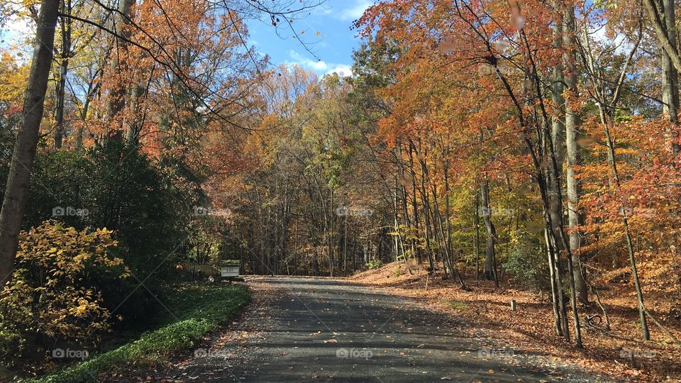 Autumn drive in Virginia