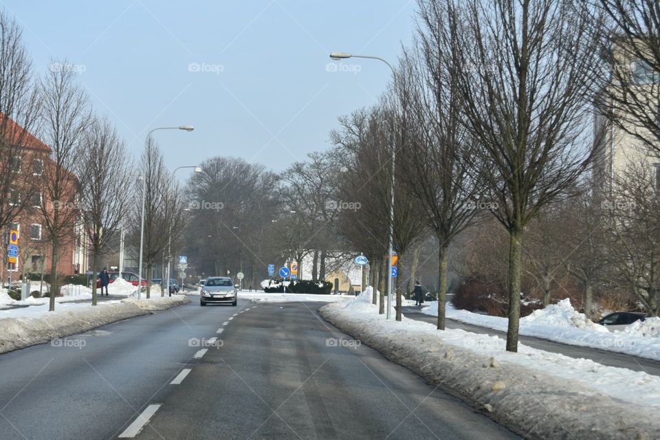 Road, Winter, Snow, Street, Weather