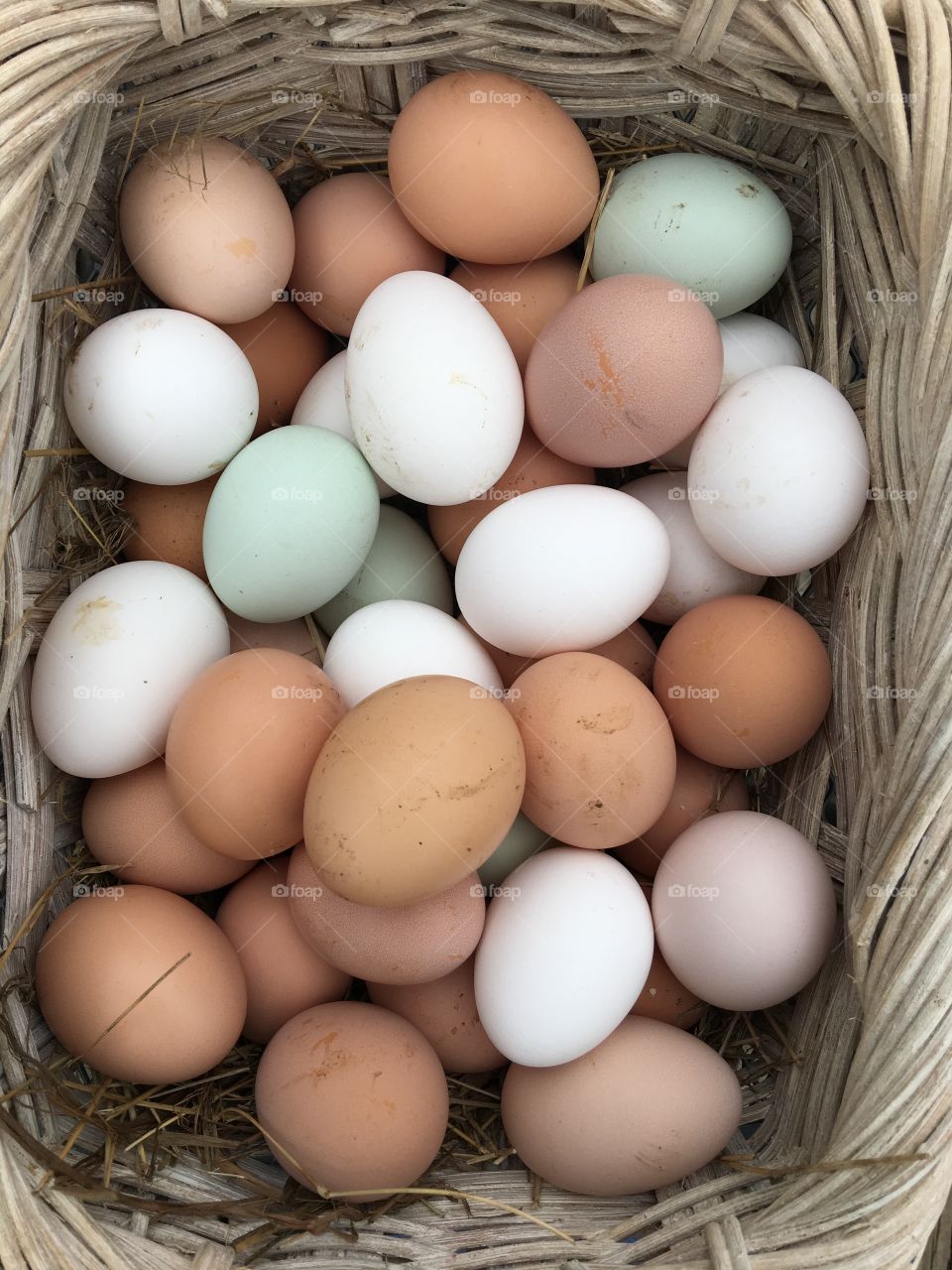 Basket full of eggs