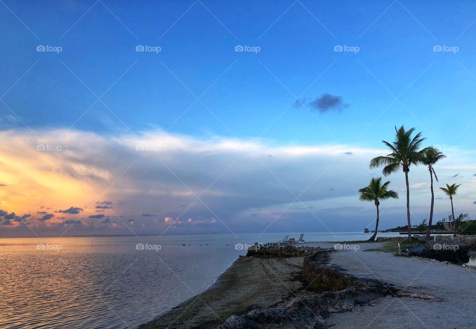 Beach scenery with palm trees, ocean and sunset with clouds 