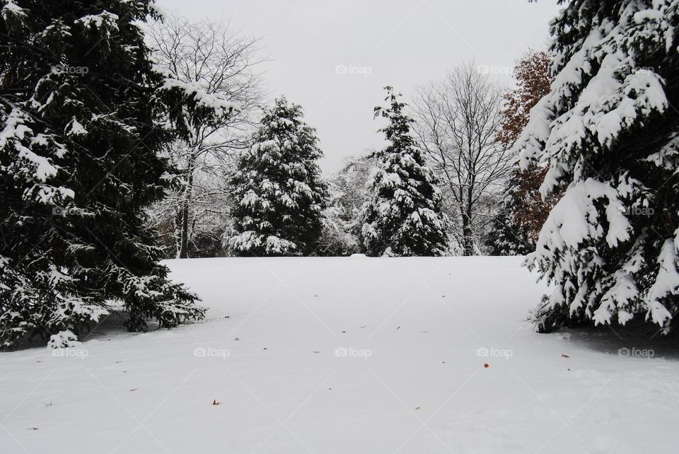 View of winter landscape