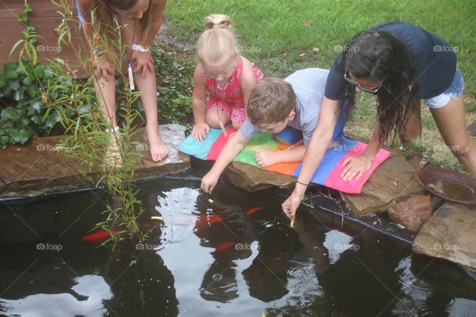 Kids Hand feeding Fish 